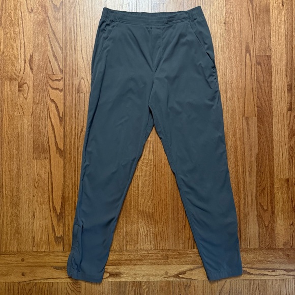 lululemon athletica Other - Lululemon Surge Joggers in gray stripes size M